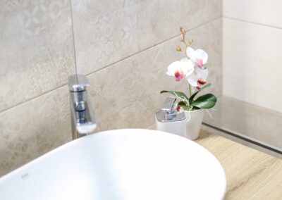 Brand new bathrooms in the annex